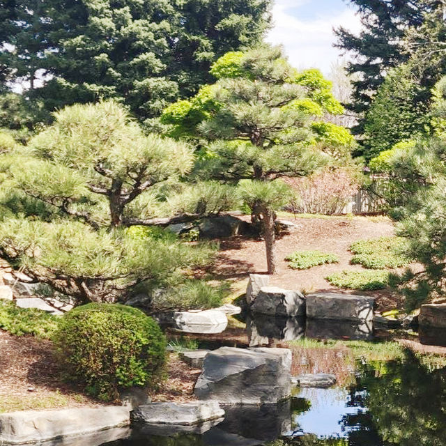 The Soloist's Mile-High Zen: Shofu-en Revisited