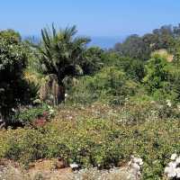 University of California Botanical Garden