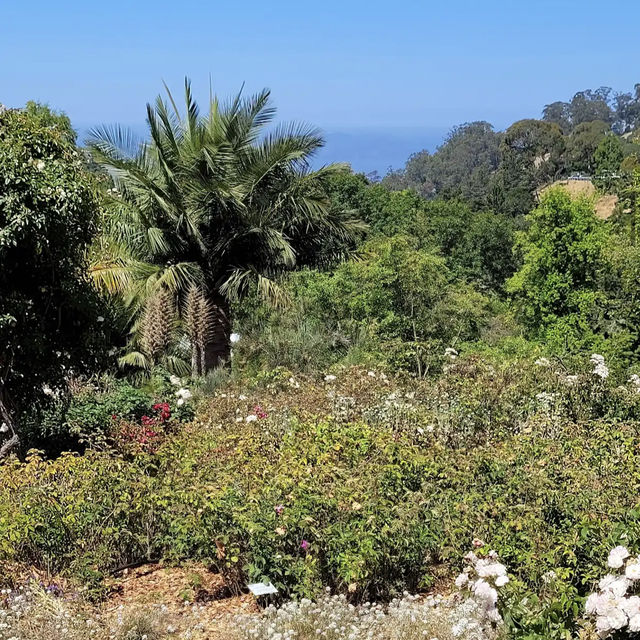 University of California Botanical Garden