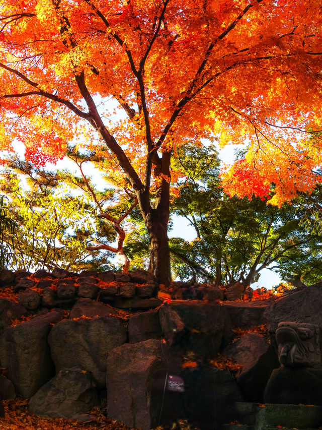 가을여행 덕수궁 , 낙엽이 수놓은 시간의 정원