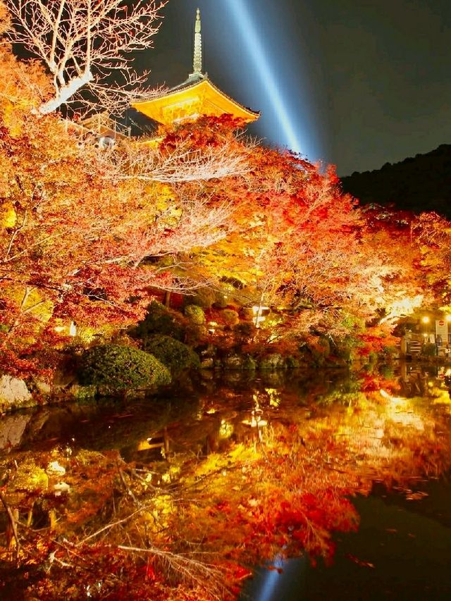 🍂 Kiyomizudera Temple – Kyoto’s Autumn Masterpiece in Crimson and Gold 🇯🇵✨