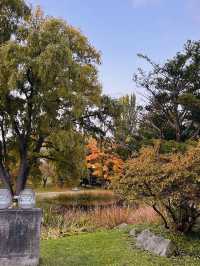 나카지마공원의 아침