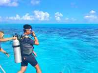 Lagoon Service Bora Bora - The Beat Experience Ever