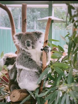 自然と触れ合うキャバーシャム野生動物公園