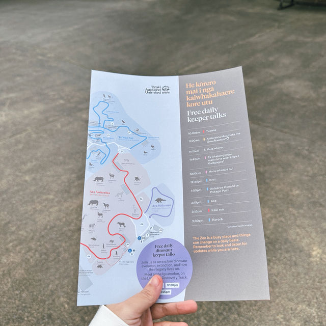 Auckland Zoo: ครึ่งวันที่เต็มไปด้วยความสนุกสนาน Auckland Zoo: ครึ่งวันที่เต็มไปด้วยความสนุกสนาน