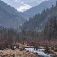 Chengdu > Huanglong > Jiuzhaigou > Chengdu 3 วัน 2