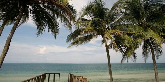 Sky Meets Sea🌊Deasru jhohor baru malasiya tree,Johor Bahru: Beyond Singapore’s Shadow – Your Next A