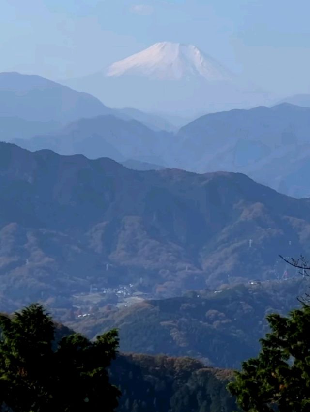 東京後花園｜高尾山｜闖入絕美紅葉油畫世界🍁