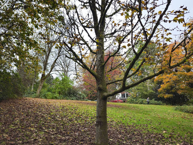 Queen Elizabeth Park