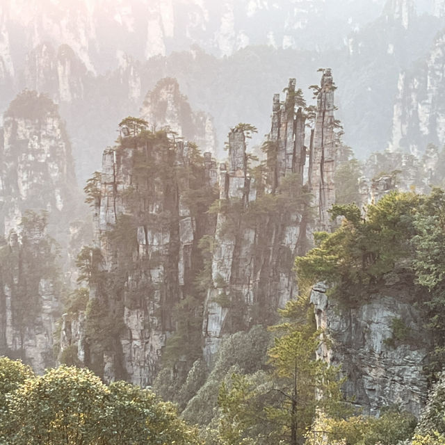  Zhangjiajie East Gate — A One-Day Journey Through Peaks, Clouds & Surprises