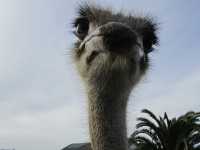 地下星河/懷託摩螢火蟲洞