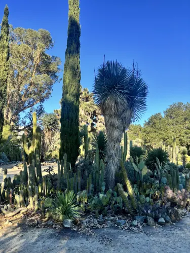 Between Time and Grains of Sand: Arizona Garden | Trip.com Stanford
