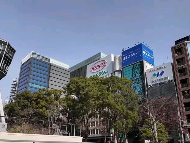 名古屋市中心綠洲🌿｜網紅水池打卡攻略💕