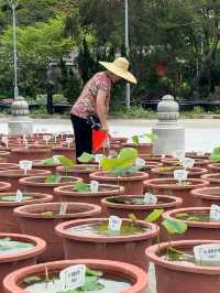 A Whole Different Side of Hong Kong