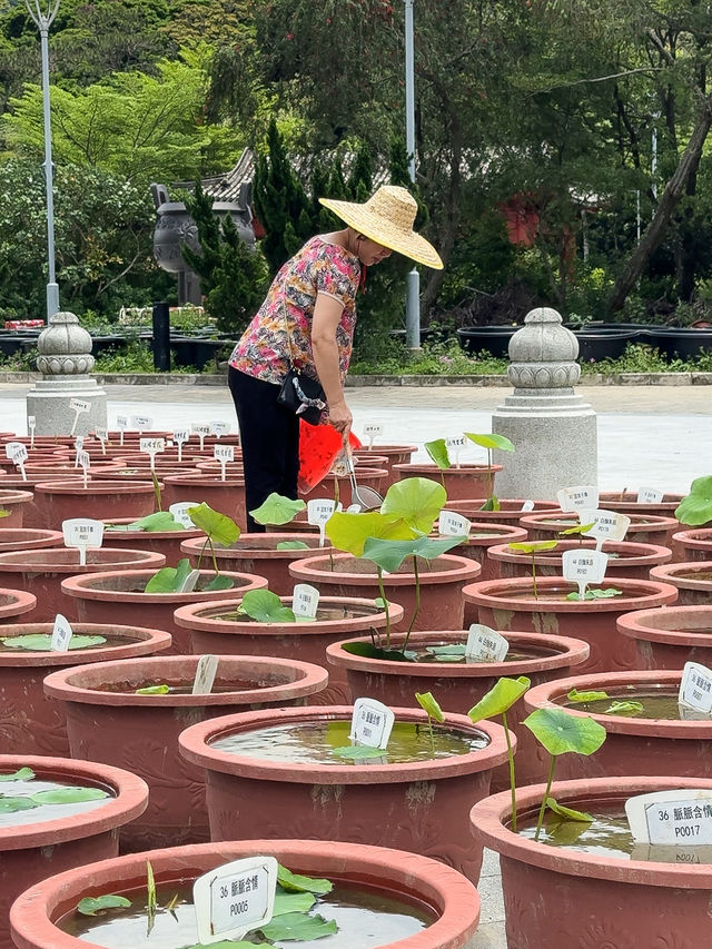 A Whole Different Side of Hong Kong