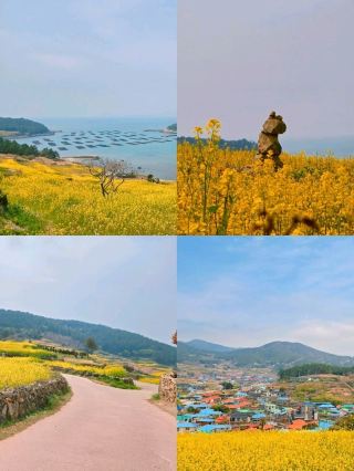 An island that soothes the heart without words, Cheongsando