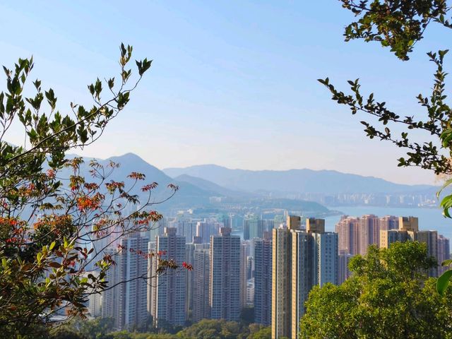 香港馬鞍山的山林秘徑