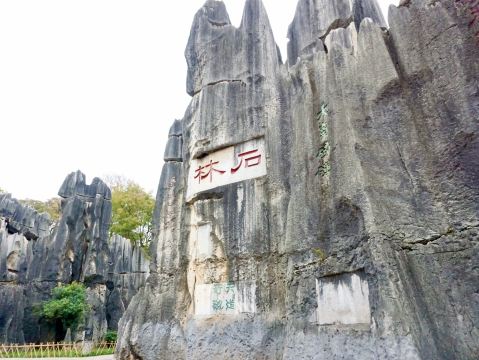 The overwhelming scale of nature: Conquering Kunming's ultimate