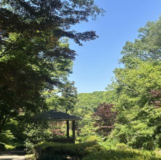 【도쿄 숨은 비경】 마치다 야쿠시이케 공원, 환상적인 일본식 정원, 수상 정자와 창포꽃 물결! 1초 만에 에도 시대로 타임슬립!.