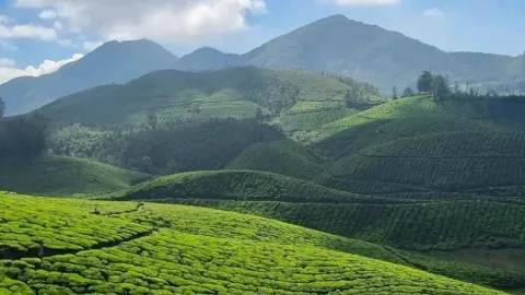 🌿 ムナール旅行ガイド：この美しい避暑地を訪れるべき理由 — traveler post in コーチ