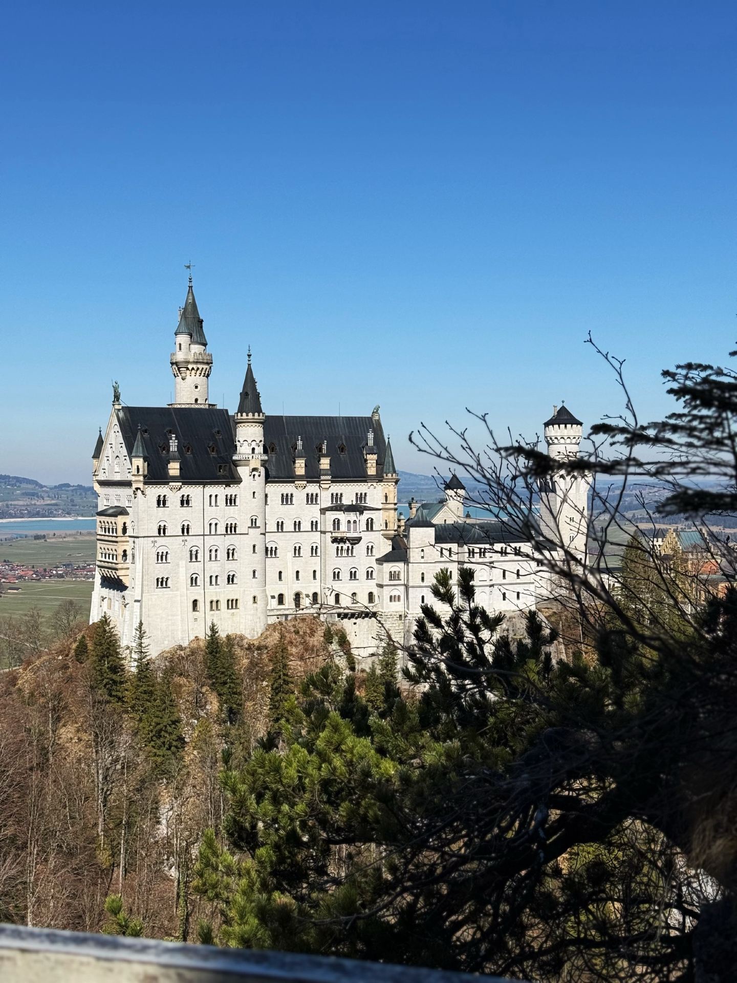 ディズニーランドのモデルになったお城。