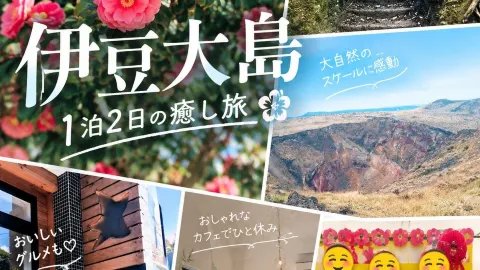 🌺伊豆大島を1泊2日で満喫!椿と島グルメとおしゃれカフェ旅 — traveler post in 大島