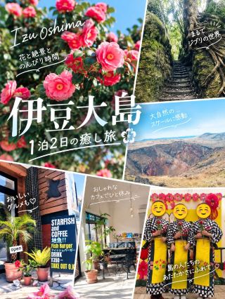 🌺伊豆大島を1泊2日で満喫！椿と島グルメとおしゃれカフェ旅