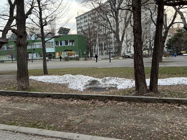 札幌中島公園高CP值酒店推介🏨