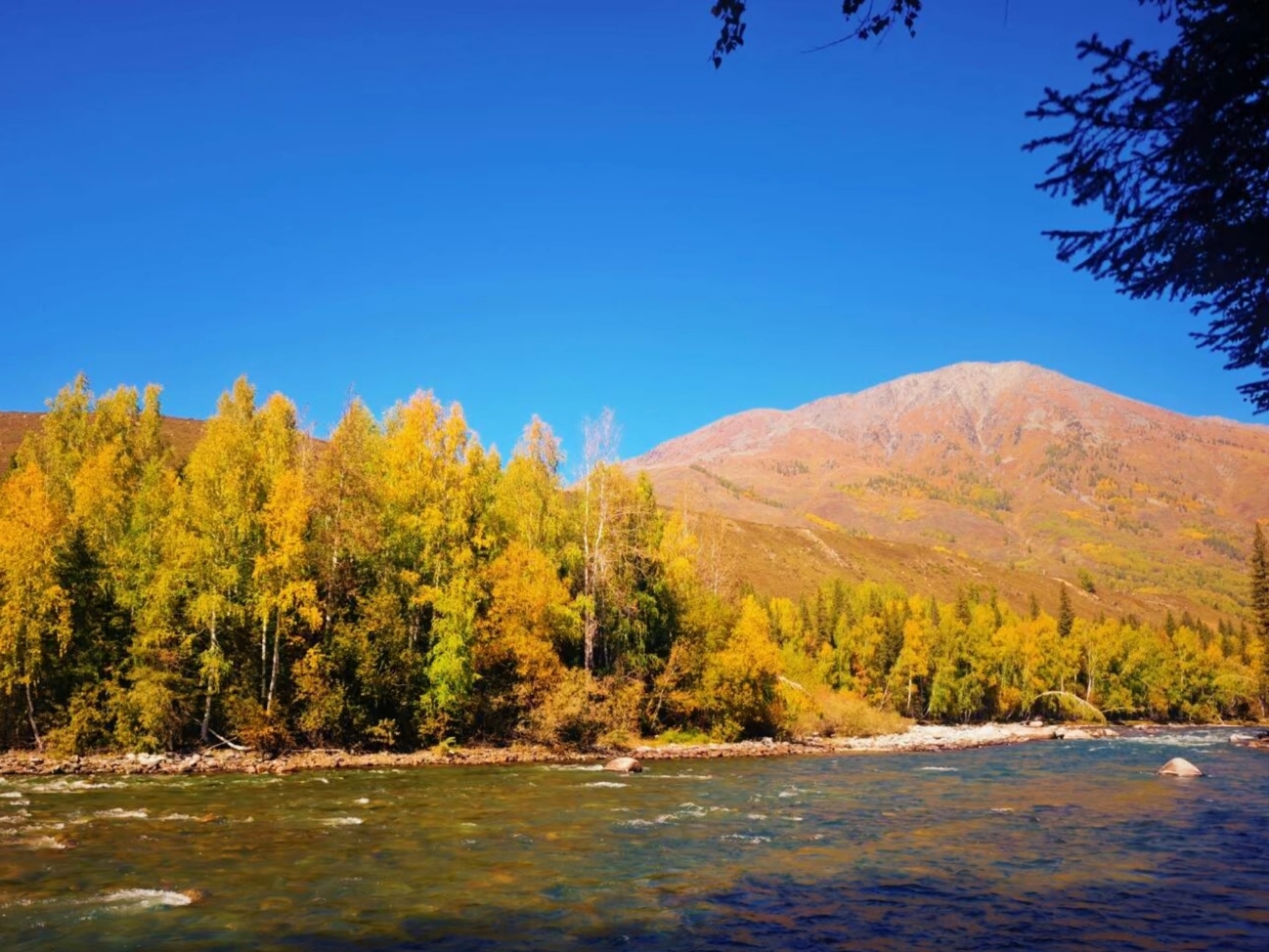 My Favourite Part of Fall in Hemu