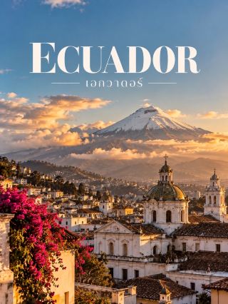 🇪🇨  | ECUADOR — เอกวาดอร์

ประเทศเล็ก ๆ ในอเมริกาใต้ที่เต็มไปด้วยความมหัศจรรย์ 🌎✨ ตั้งแต่หมู่เกาะที่มีสัตว์ป่าหายาก ภูเขาไฟสูงตระหง่าน เมืองเก่าสไตล์โคโลเนียล ไปจนถึงป่าแอมะซอนที่อุดมสมบูรณ์

🐢 Galápagos Islands
หมู่เกาะกลางมหาสมุทรแปซิฟิกที่ขึ้นชื่อเรื่องธรรมชาติและสัตว์ป่า ทั้งเต่ายักษ์ สิงโตทะเล และนกทะเล เป็นจุดหมายในฝันของคนรักธรรมชาติ 🦭

🏛️ Quito
เมืองหลวงที่ตั้งอยู่บนเทือกเขาแอนดีส โดดเด่นด้วยย่านเมืองเก่า โบสถ์เก่าแก่ และสถาปัตยกรรมยุคอาณานิคมที่ได้รับการอนุรักษ์ไว้อย่างงดงาม

🌋 Cotopaxi National Park
หนึ่งในแลนด์มาร์กธรรมชาติของประเทศ กับภูเขาไฟรูปทรงสวยโดดเด่น ทุ่งหญ้าบนที่สูง และทิวทัศน์ของเทือกเขาแอนดีสที่กว้างสุดสายตา

💙 Quilotoa Lagoon
ทะเลสาบสีเขียวอมฟ้าที่อยู่ภายในปล่องภูเขาไฟ รายล้อมด้วยภูเขาและพื้นที่สูง เป็นวิวที่สวยสะดุดตาและเหมาะกับสายถ่ายภาพมาก ๆ

🌿 Amazon Rainforest
อีกด้านของเอกวาดอร์คือป่าฝนเขตร้อนที่เต็มไปด้วยแม่น้ำ พืชพรรณ และสัตว์ป่านานาชนิด สามารถสัมผัสธรรมชาติผ่านการเดินป่าและล่องเรือกับไกด์ท้องถิ่น

🏘️ Cuenca
เมืองเก่าบรรยากาศสงบ มีถนนปูหิน อาคารสไตล์โคโลเนียล และแม่น้ำไหลผ่านเมือง อีกทั้งยังขึ้นชื่อเรื่องงานหัตถกรรมและหมวกปานามาที่มีต้นกำเนิดจากเอกวาดอร์ 🇪🇨

✨ เสน่ห์ของเอกวาดอร์คือการรวมโลกธรรมชาติไว้หลากหลายมาก ทั้งหมู่เกาะ ภูเขาไฟ ป่าแอมะซอน และเมืองประวัติศาสตร์ในประเทศเดียว ใครชอบเที่ยวแบบได้ทั้งวิวและวัฒนธรรม ประเทศนี้น่าสนใจมากจริง ๆ

#Ecuador #เที่ยวเอกวาดอร์ #SouthAmerica #เที่ยวต่างประเทศ