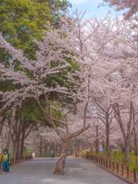자연이 살아숨쉬는 이곳 "대왕암 공원"