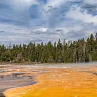 The Old Faithful @ Yellowstone National Park