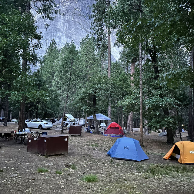 Yosemite NP was surreal!! 