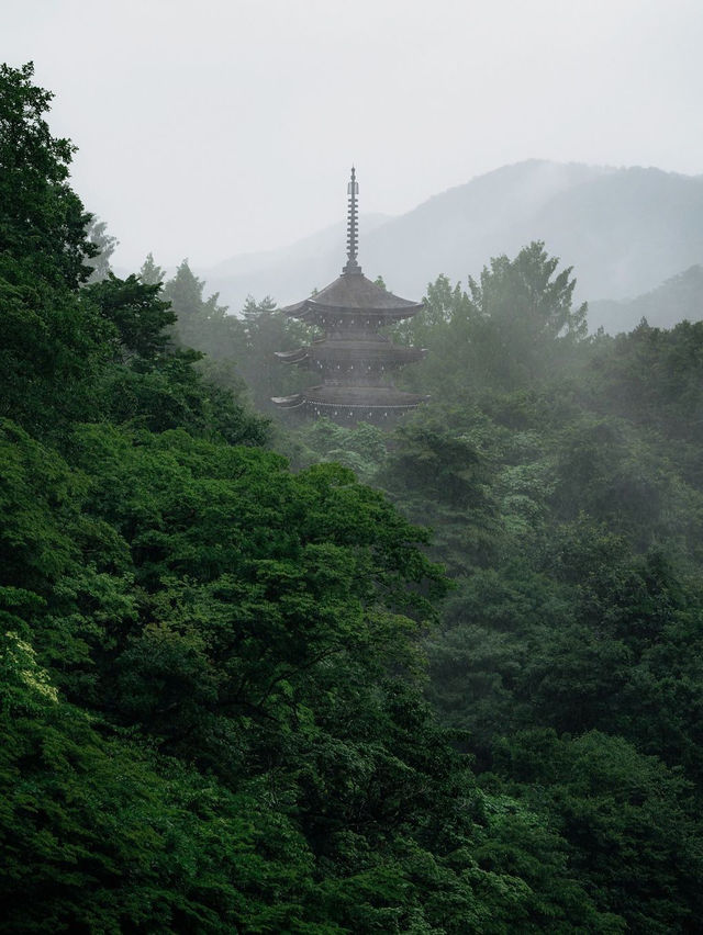 미야기현: 자연의 아름다움과 고대 문화 🌲🏯