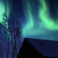 極光下的北極夢境:漠河北極村之夜