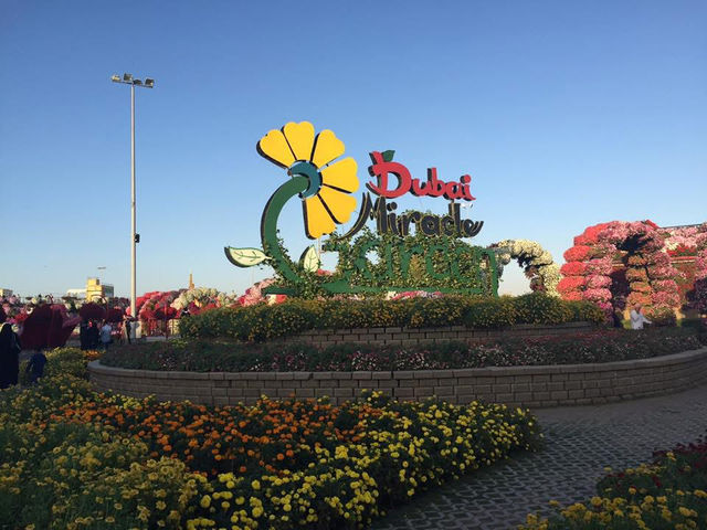 Dubai Miracle Garden in Spring 