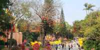 spring comes early🥰 Yuexiu Park Guangzhou