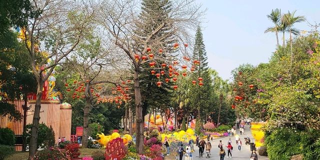 spring comes early🥰 Yuexiu Park Guangzhou