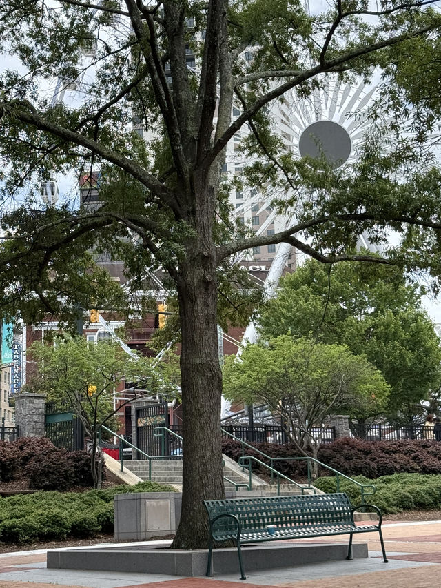 City tour in Atlanta