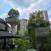 No need to go to Brazil come to Shanghai 1000 Trees