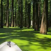 Must visit Macha Lake in Hangzhou