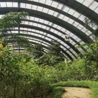 Monteverde butterfly gardens 🦋🦋