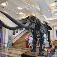 Hisory Museum