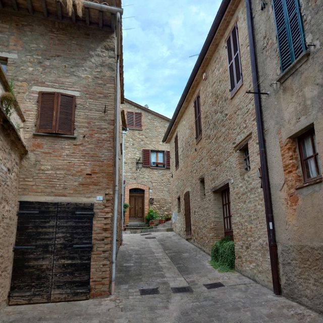 Beautiful Montone 