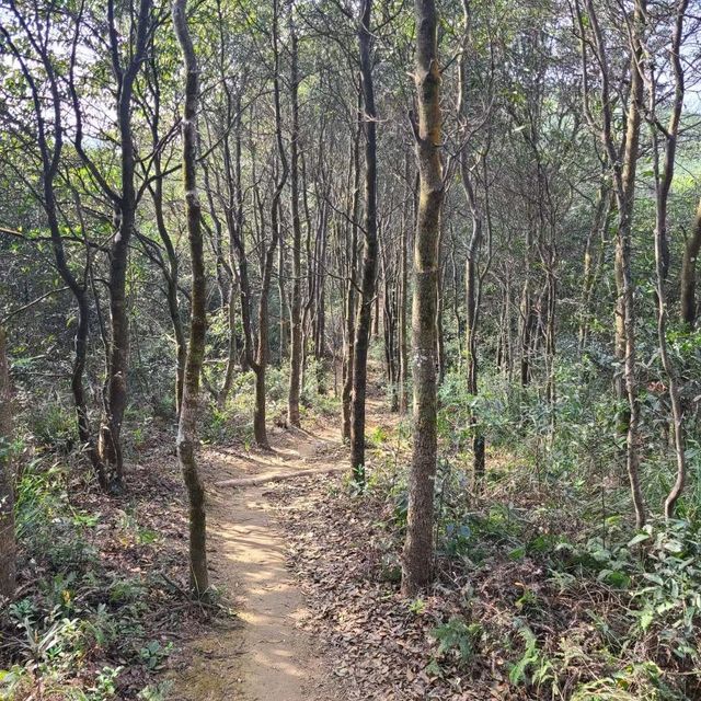 Shenzhen's best hike 