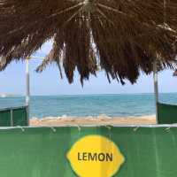 Wow Lemon & Soul makadi garden hotel 🍋 