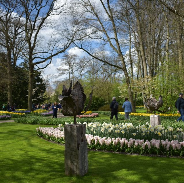 キューケンホフ公園(keukenhof)とてもチューリップが綺麗でした🌷