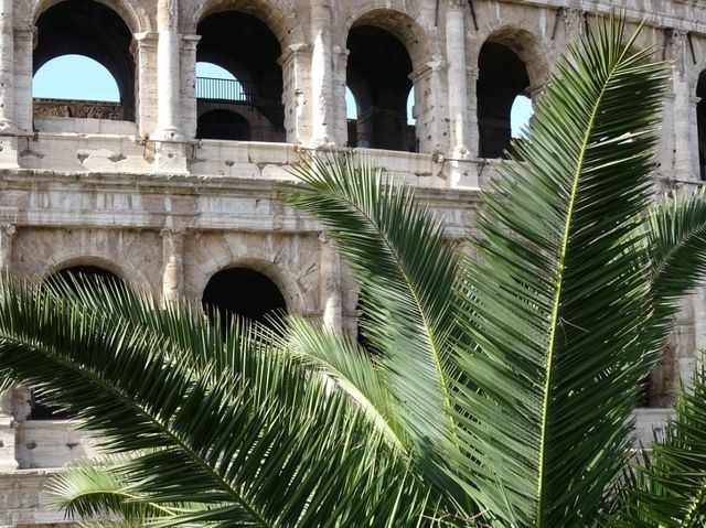The Colosseum: Window to Ancient Spectacles