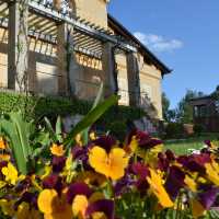 Sanssouci garden… Walk around 