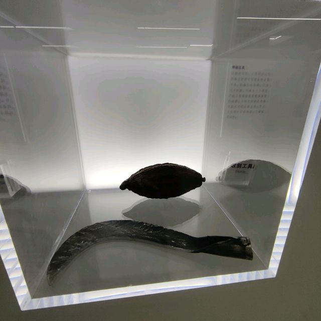 Choco Chocolate: the Sweet Secrets of Shanghai